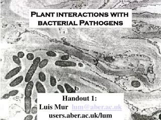 Plant interactions with bacterial Pathogens