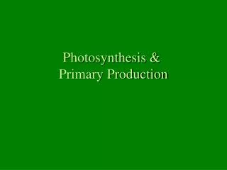 Photosynthesis &amp; Primary Production