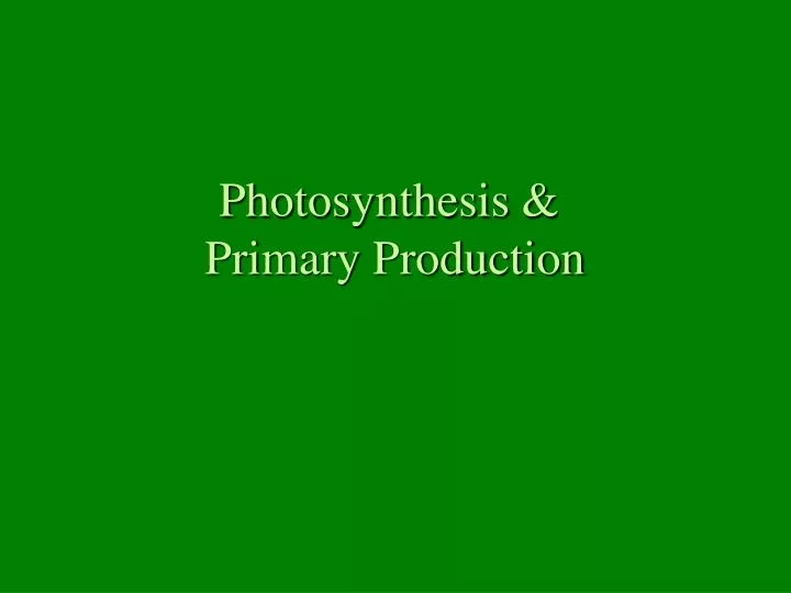 photosynthesis primary production