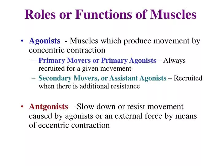 roles or functions of muscles