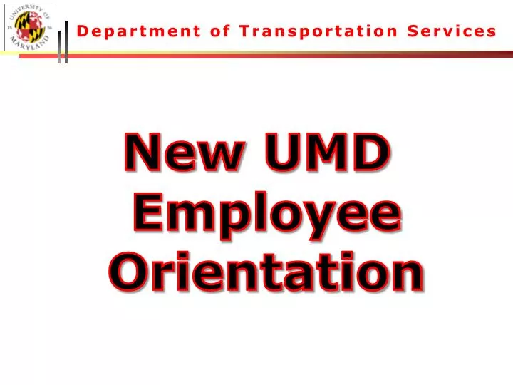 department of transportation services