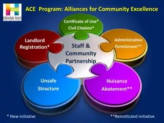 ACE Program: Alliances for Community Excellence