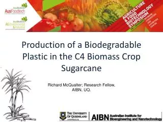 Production of a Biodegradable Plastic in the C4 Biomass Crop Sugarcane