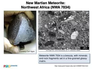 New Martian Meteorite: Northwest Africa (NWA 7034)