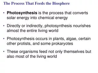 The Process That Feeds the Biosphere