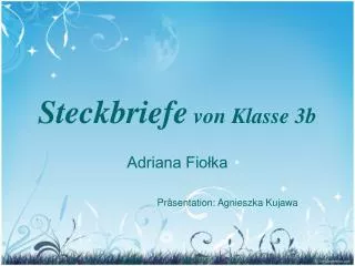 steckbriefe von klasse 3b