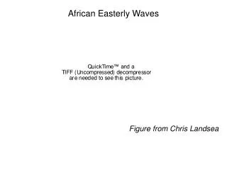 African Easterly Waves