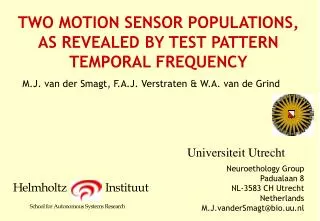 TWO MOTION SENSOR POPULATIONS, AS REVEALED BY TEST PATTERN TEMPORAL FREQUENCY
