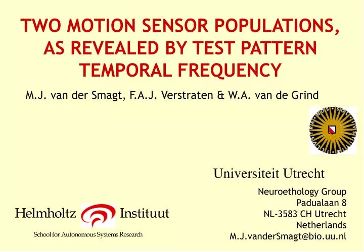 two motion sensor populations as revealed by test pattern temporal frequency