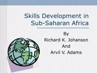 Skills Development in Sub-Saharan Africa
