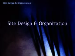 Site Design &amp; Organization