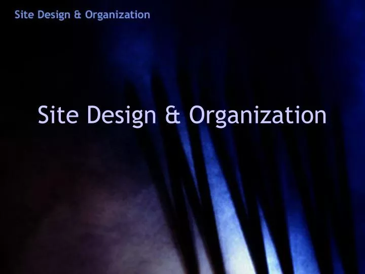 site design organization