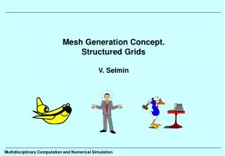 Mesh Generation Concept. Structured Grids V. Selmin