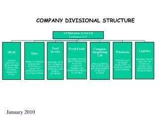 company divisional structure