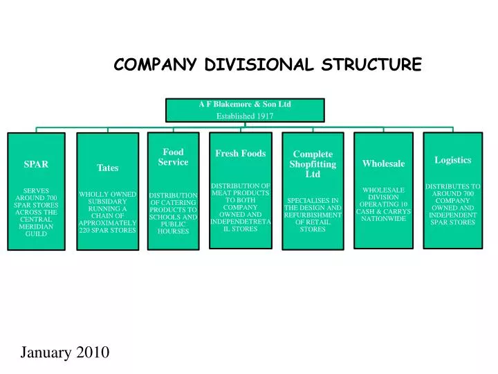 company divisional structure