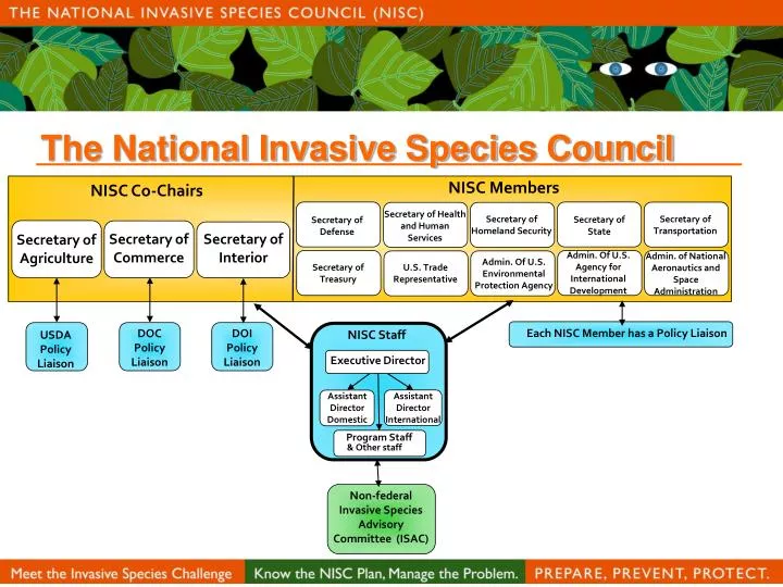the national invasive species council