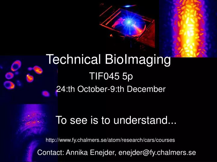 technical bioimaging
