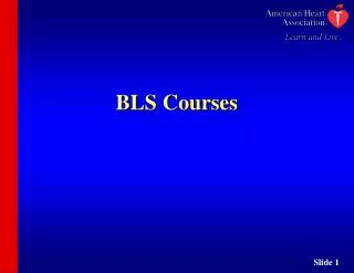 BLS Courses