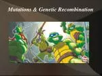Mutations &amp; Genetic Recombination - slide 1