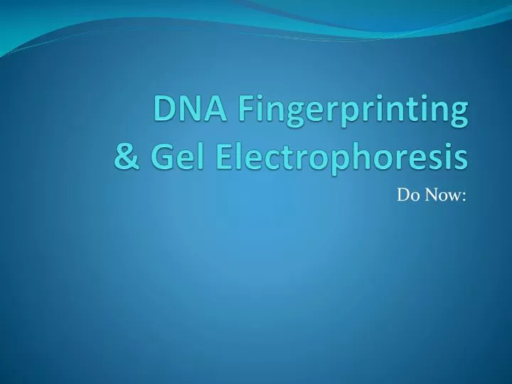 dna fingerprinting gel electrophoresis