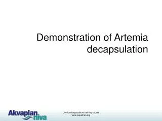 Demonstration of Artemia decapsulation