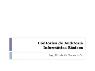 contorles de auditor a inform tica b sicos