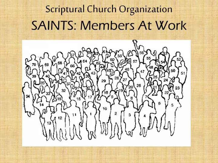 scriptural church organization saints members at work