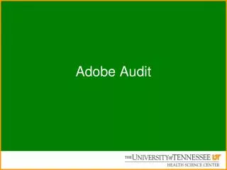 Adobe Audit