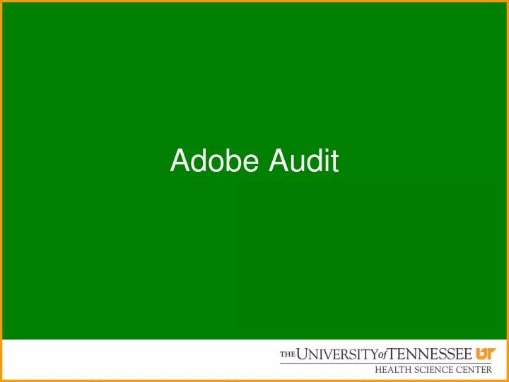adobe audit