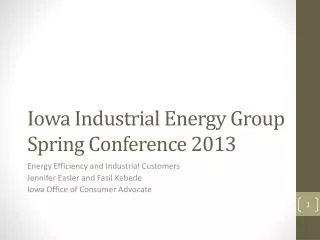 Iowa Industrial Energy Group Spring Conference 2013