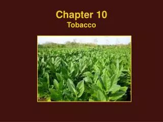Chapter 10 Tobacco