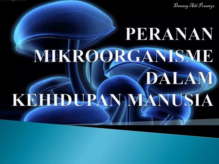 peranan mikroorganisme dalam kehidupan manusia