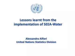 Alessandra Alfieri United Nations Statistics Division