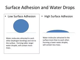 Surface Adhesion and Water Drops
