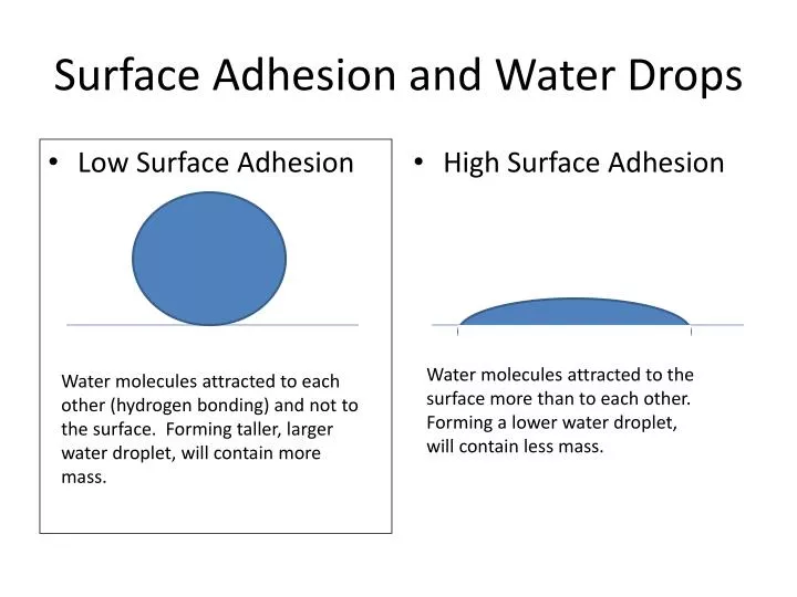 surface adhesion and water drops
