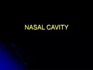 NASAL CAVITY