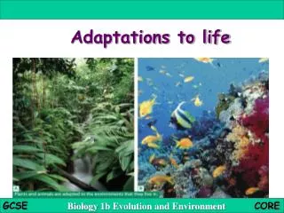 Adaptations to life