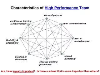 Characteristics of High Performance Team