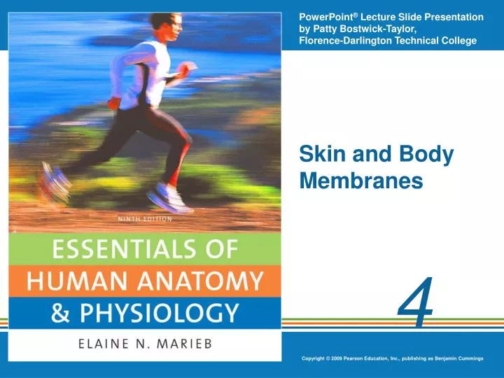 skin and body membranes