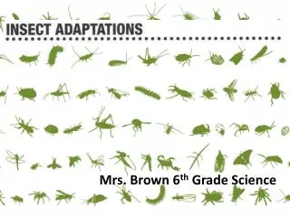 Mrs. Brown 6 th Grade Science