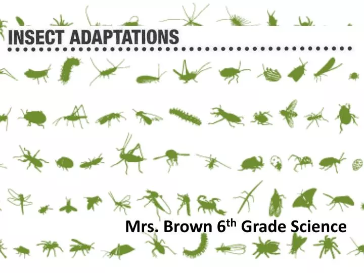 mrs brown 6 th grade science