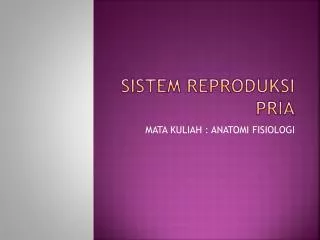 sistem reproduksi pria