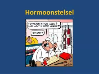 Hormoonstelsel