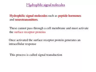 Hydrophilic signal molecules