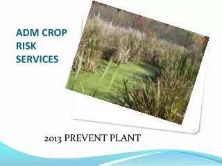 ADM CROP RISK SERVICES