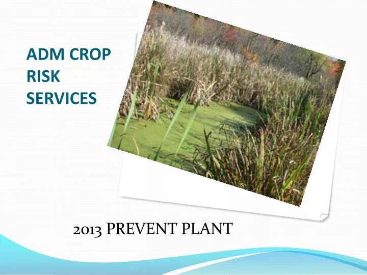 adm crop risk services