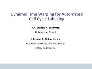 Dynamic Time Warping for Automated Cell Cycle Labelling