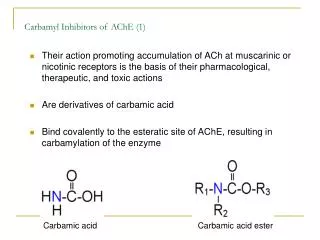 Carbamyl Inhibitors of AChE (1)