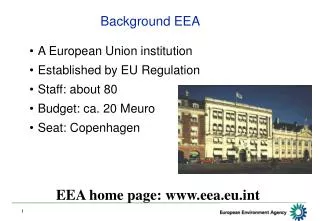 Background EEA