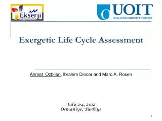 Exergetic Life Cycle Assessment